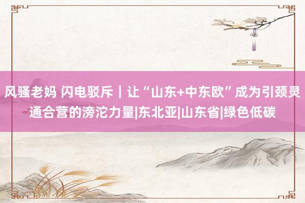 风骚老妈 闪电驳斥｜让“山东+中东欧”成为引颈灵通合营的滂沱力量|东北亚|山东省|绿色低碳