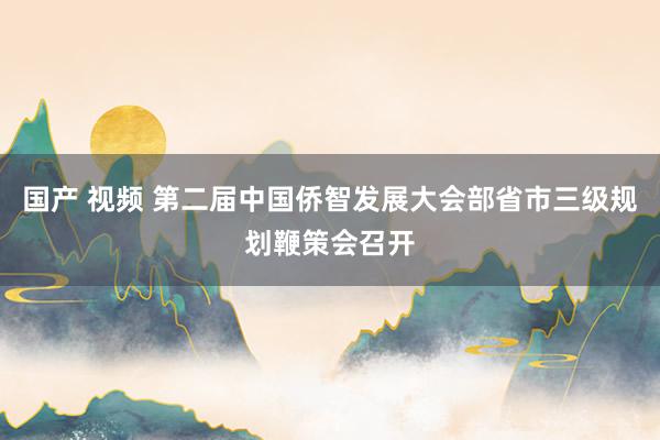 国产 视频 第二届中国侨智发展大会部省市三级规划鞭策会召开
