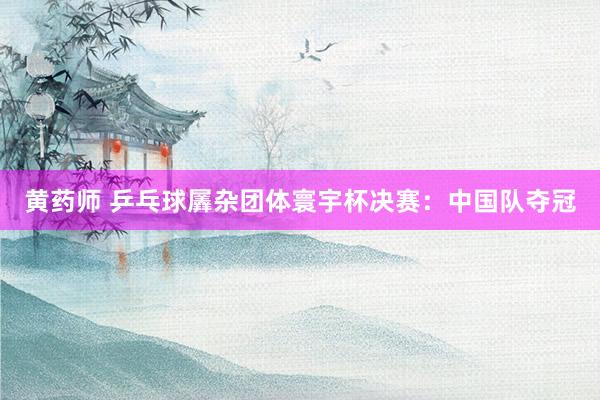 黄药师 乒乓球羼杂团体寰宇杯决赛：中国队夺冠