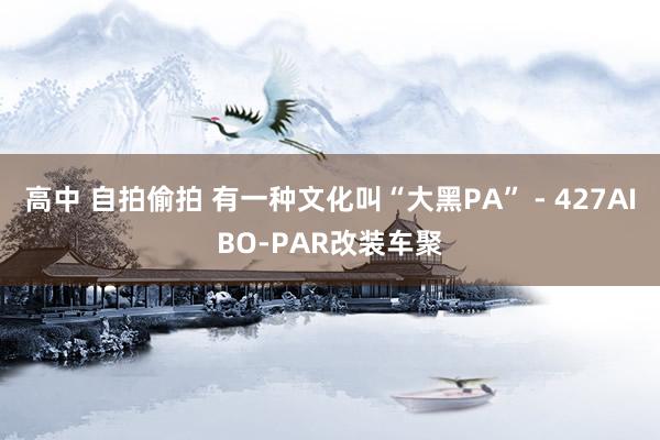高中 自拍偷拍 有一种文化叫“大黑PA” - 427AIBO-PAR改装车聚