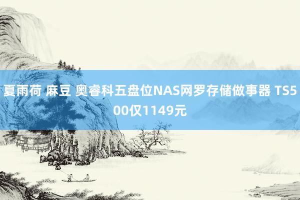 夏雨荷 麻豆 奥睿科五盘位NAS网罗存储做事器 TS500仅1149元