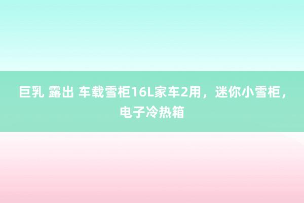 巨乳 露出 车载雪柜16L家车2用，迷你小雪柜，电子冷热箱