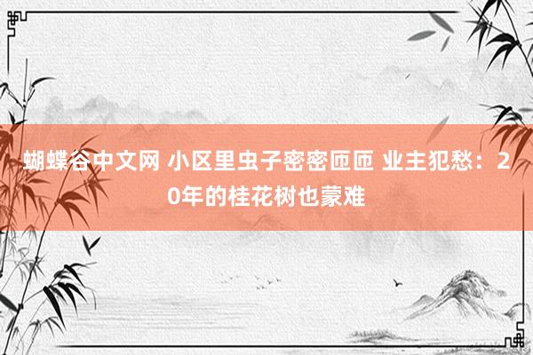 蝴蝶谷中文网 小区里虫子密密匝匝 业主犯愁：20年的桂花树也蒙难