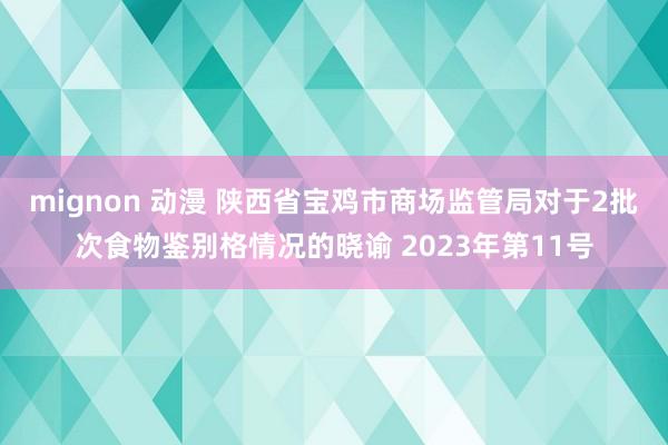 mignon 动漫 陕西省宝鸡市商场监管局对于2批次食物鉴别格情况的晓谕 2023年第11号