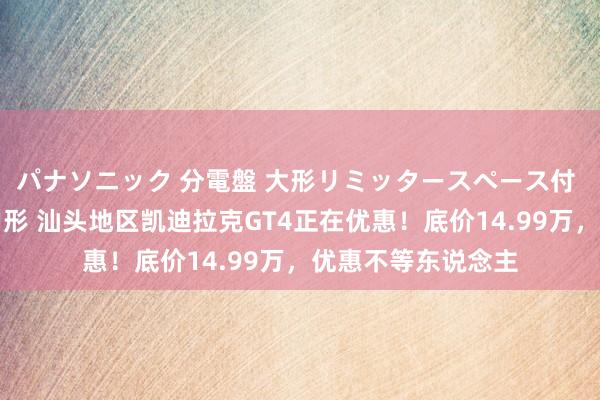 パナソニック 分電盤 大形リミッタースペース付 露出・半埋込両用形 汕头地区凯迪拉克GT4正在优惠！底价14.99万，优惠不等东说念主