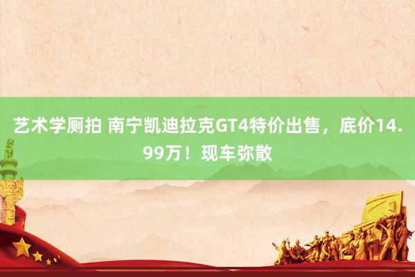 艺术学厕拍 南宁凯迪拉克GT4特价出售，底价14.99万！现车弥散
