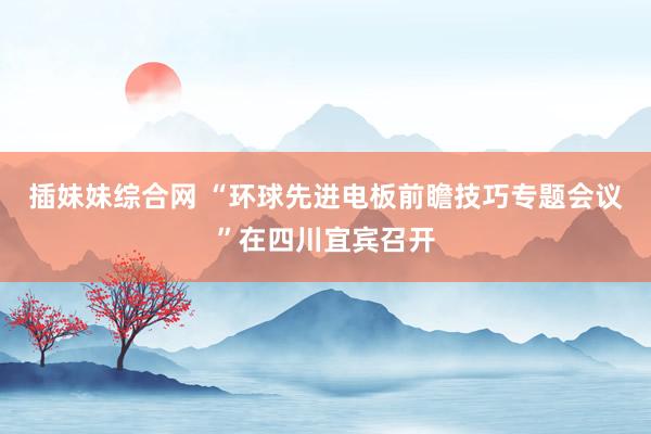 插妹妹综合网 “环球先进电板前瞻技巧专题会议”在四川宜宾召开