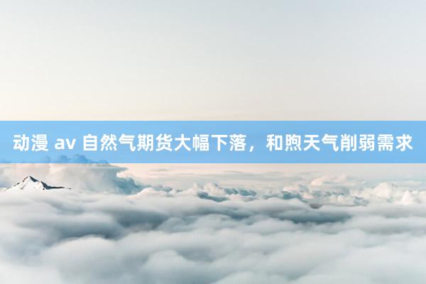 动漫 av 自然气期货大幅下落，和煦天气削弱需求