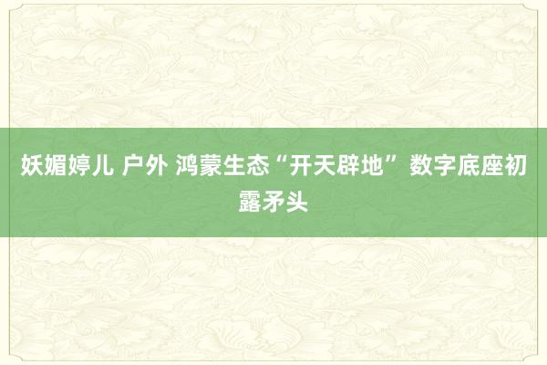 妖媚婷儿 户外 鸿蒙生态“开天辟地” 数字底座初露矛头