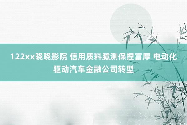 122xx晓晓影院 信用质料臆测保捏富厚 电动化驱动汽车金融公司转型