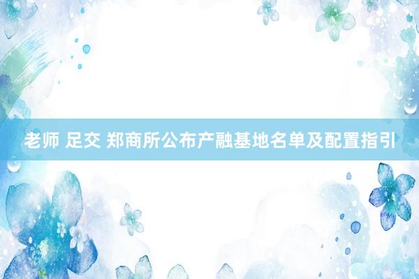 老师 足交 郑商所公布产融基地名单及配置指引