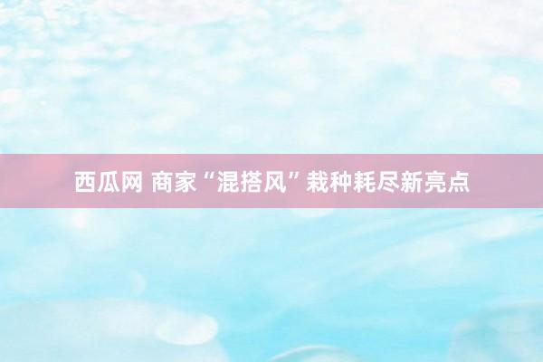 西瓜网 商家“混搭风”栽种耗尽新亮点
