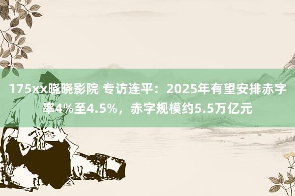 175xx晓晓影院 专访连平：2025年有望安排赤字率4%至4.5%，赤字规模约5.5万亿元