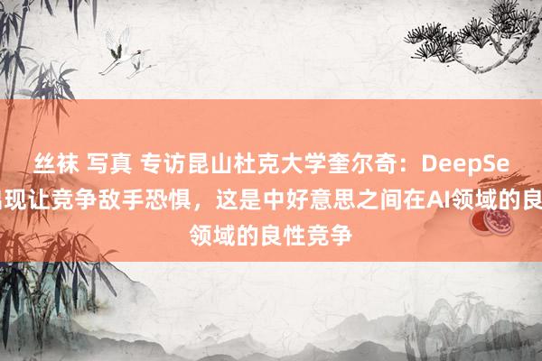 丝袜 写真 专访昆山杜克大学奎尔奇：DeepSeek的出现让竞争敌手恐惧，这是中好意思之间在AI领域的良性竞争