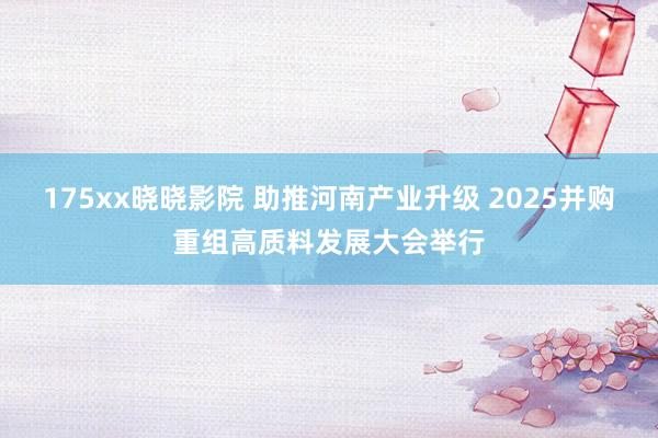 175xx晓晓影院 助推河南产业升级 2025并购重组高质料发展大会举行