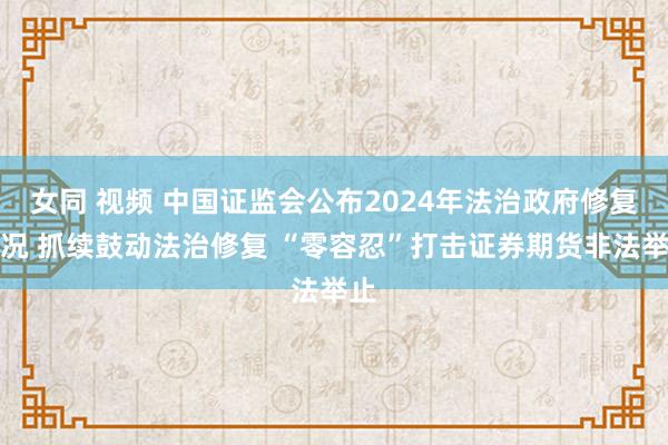 女同 视频 中国证监会公布2024年法治政府修复情况 抓续鼓动法治修复 “零容忍”打击证券期货非法举止